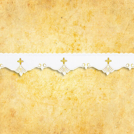 Embroidered napkin "Roma" 45x45