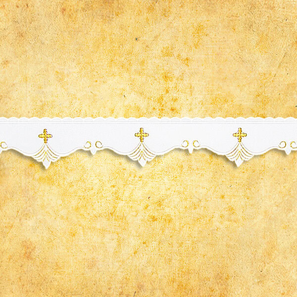 Embroidered napkin "Roma" 45x45