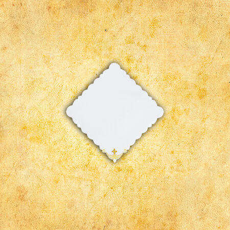 Embroidered napkin "Roma" 45x45