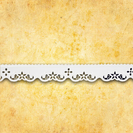 Embroidered lace "Florentine"