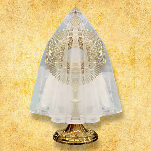 Veil for monstrance with white trim