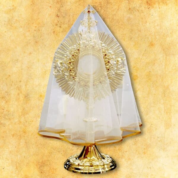 Veil for monstrance with gold trim