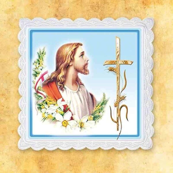 Palka Foto Nr 37 Photo Staff No. 37