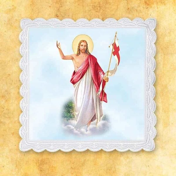 Palka Foto Nr 20 Photo stick No. 20