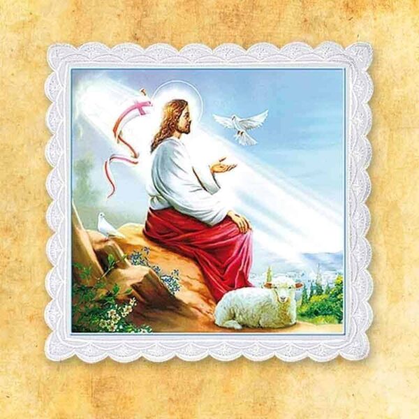 Palka Foto Nr 24 Photo Stick No. 24