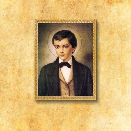 Image on fabric "St. Dominic Savio"