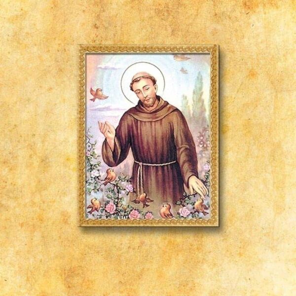 Image on fabric "St. Francis"