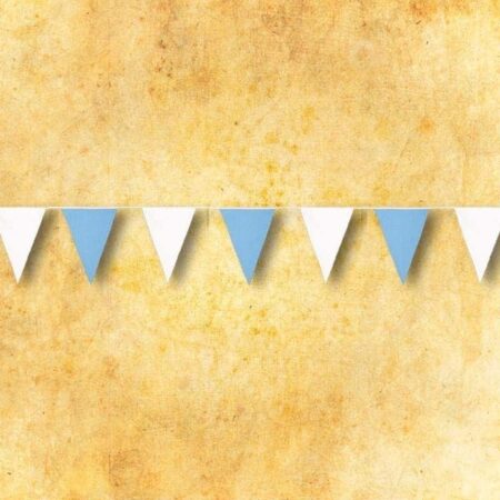 White and Blue Triangles