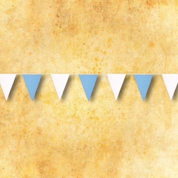 Blue and white triangles White and Blue Triangles