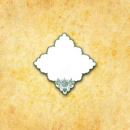 Embroidered Napkin "Cristiano" Green 32X32