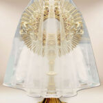 Veil for Monstrance with White Trim 80cm