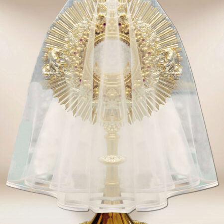 Veil for Monstrance with White Trim 120cm